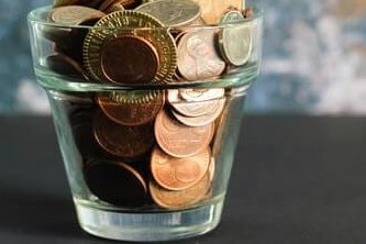 Green plant in clear glass vase that is full of coins of various currency denominations