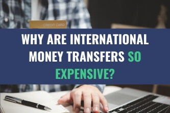 An image of a person making an online purchase with a credit card with the title - Why Are International Money Transfers So Expensive?